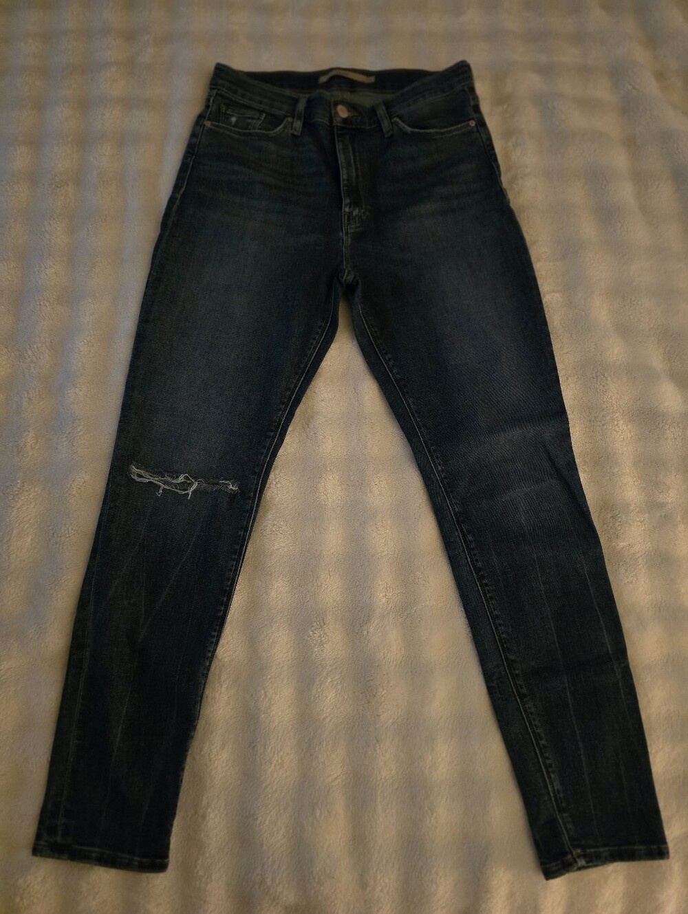 Hudson Barbara Skinny Jeans